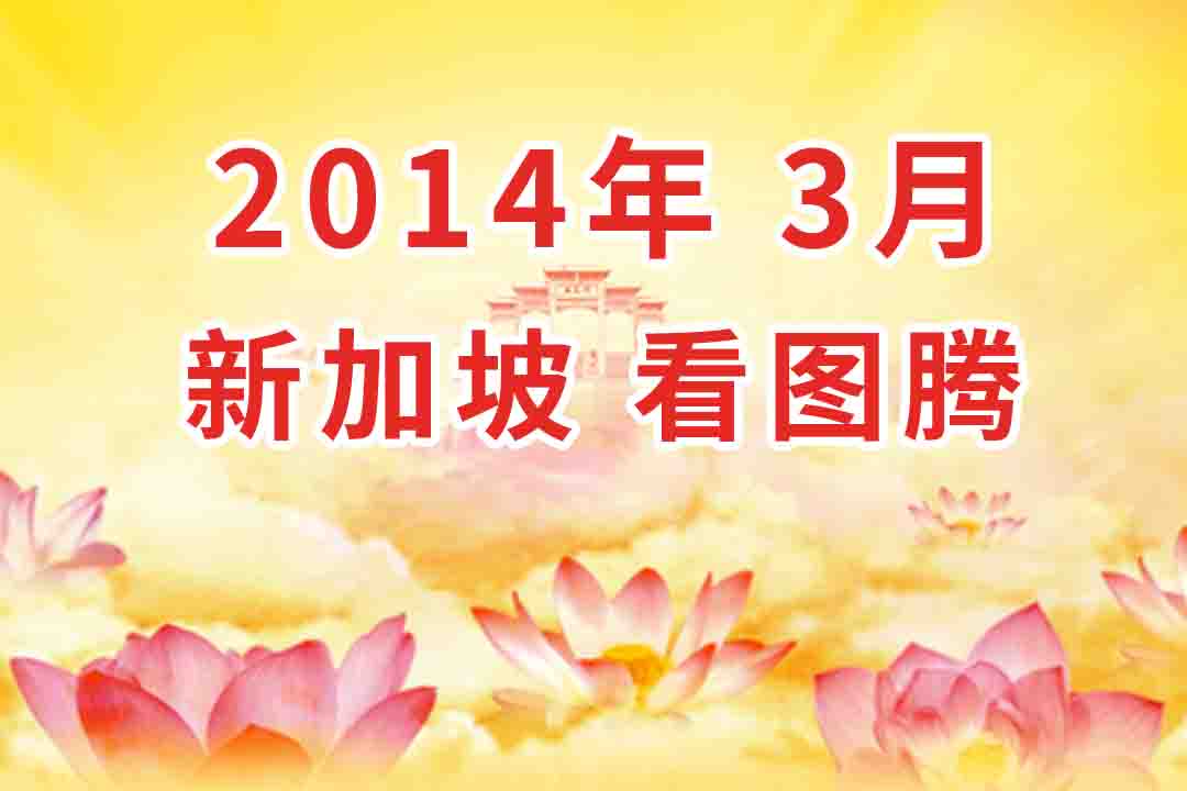 视频：2014年03月  新加坡 看图腾 集锦